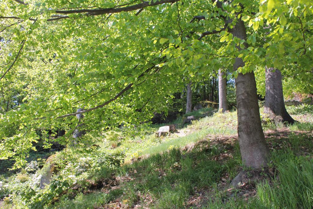 Asika Villa Josefŭv Dŭl Exteriör bild