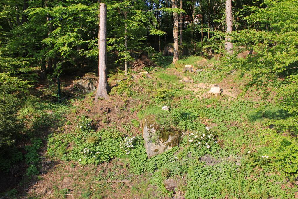 Asika Villa Josefŭv Dŭl Exteriör bild